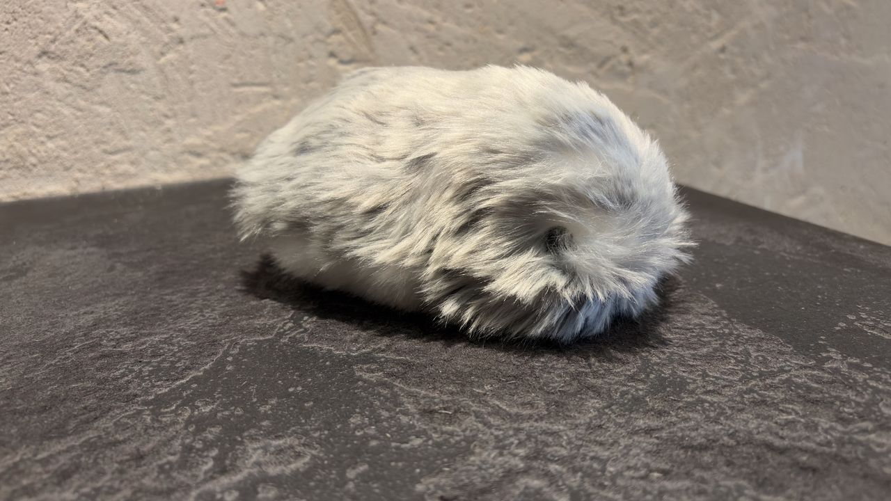 بررسی ربات حیوان خانگی هوش مصنوعی مافلین تجربه واقعی