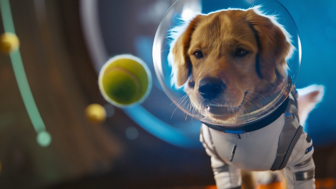 معرفی Sora 2 اپلیکیشن هوش مصنوعی ساخت ویدیو OpenAI