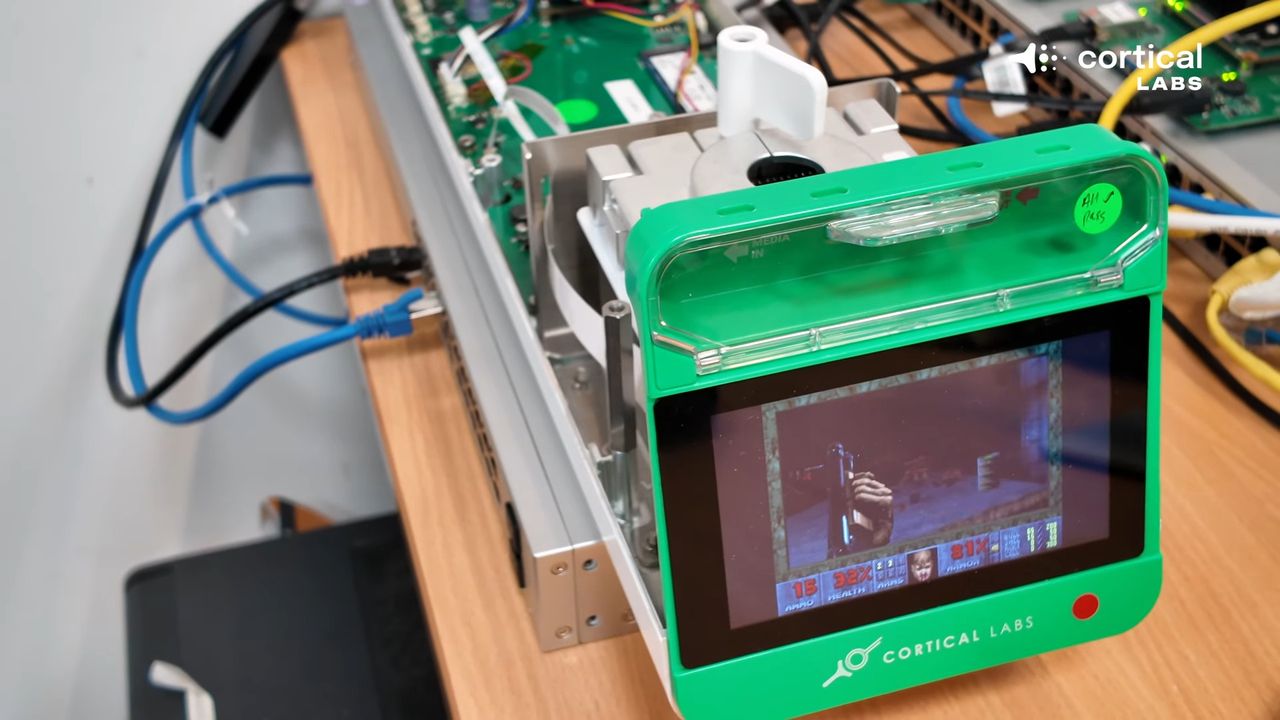 بازی کردن دووم با رایانه زیستی مبتنی بر سلول مغز انسان